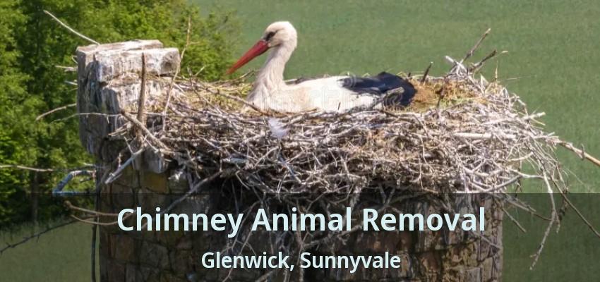 Chimney Animal Removal Glenwick, Sunnyvale - TX
