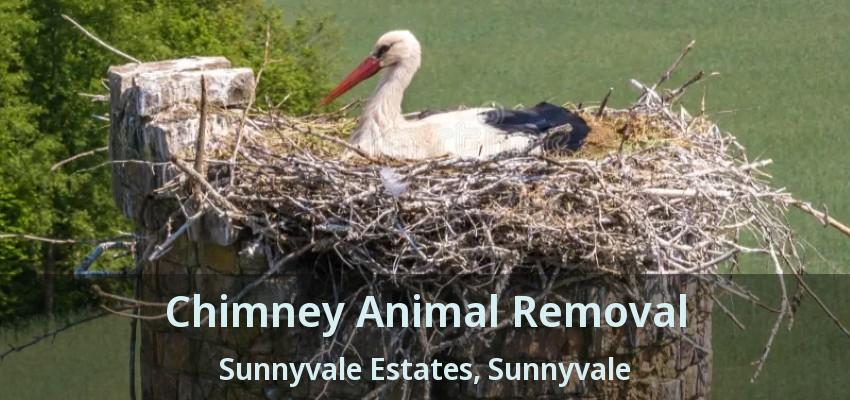 Chimney Animal Removal Sunnyvale Estates, Sunnyvale - TX
