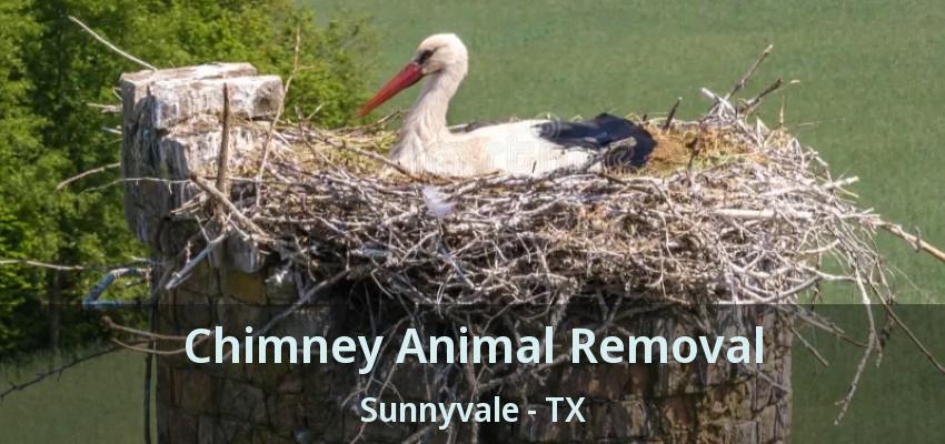 Chimney Animal Removal Sunnyvale - TX
