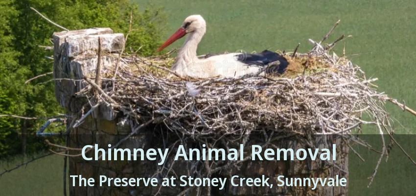 Chimney Animal Removal The Preserve at Stoney Creek, Sunnyvale - TX