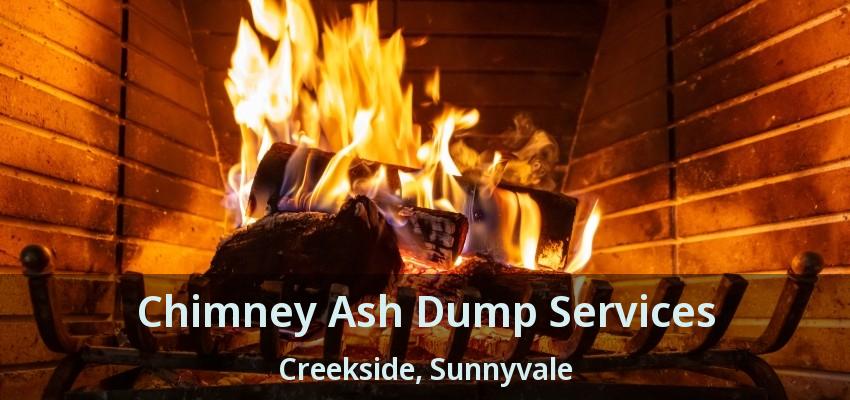 Chimney Ash Dump Services Creekside, Sunnyvale - TX