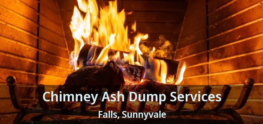 Chimney Ash Dump Services Falls, Sunnyvale - TX