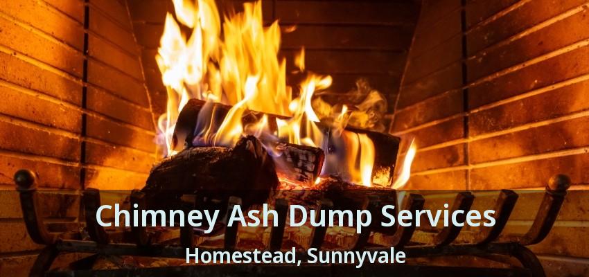 Chimney Ash Dump Services Homestead, Sunnyvale - TX