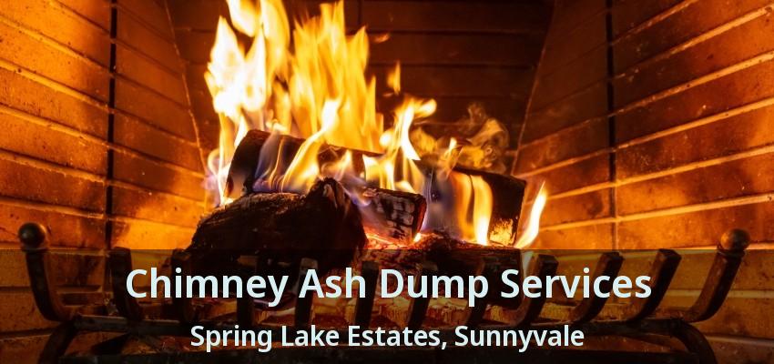 Chimney Ash Dump Services Spring Lake Estates, Sunnyvale - TX