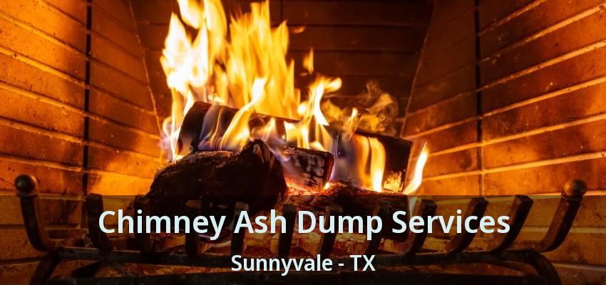 Chimney Ash Dump Services Sunnyvale - TX