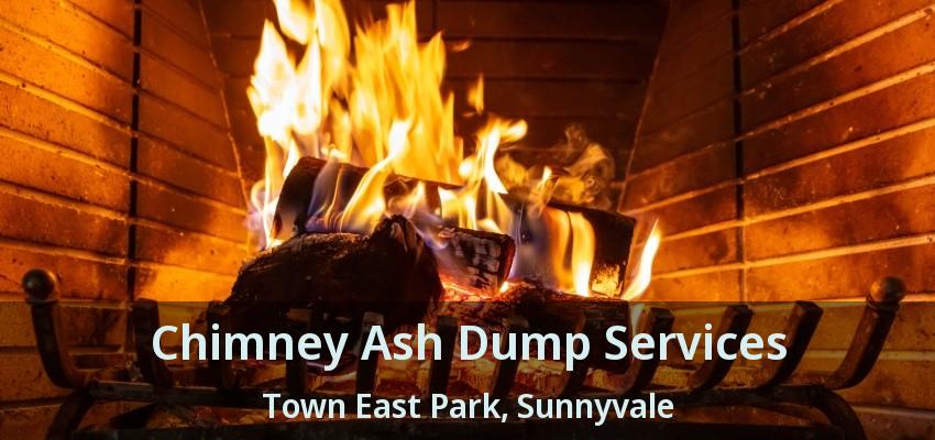 Chimney Ash Dump Services Town East Park, Sunnyvale - TX