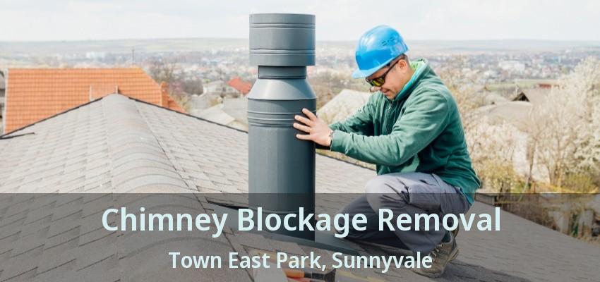 Chimney Blockage Removal Town East Park, Sunnyvale - TX