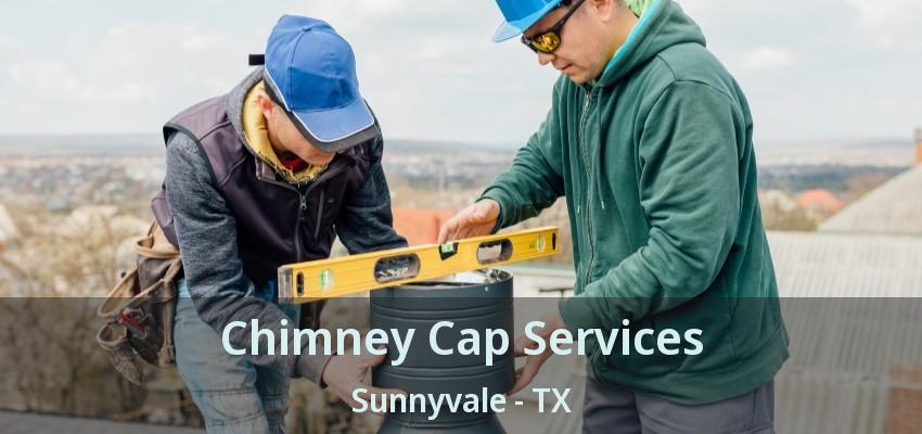 Chimney Cap Services Sunnyvale - TX