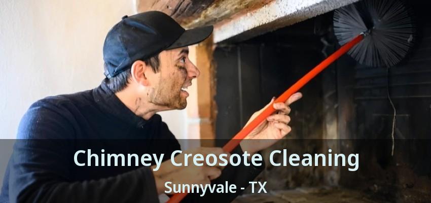 Chimney Creosote Cleaning Sunnyvale - TX