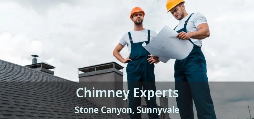 Chimney Experts Stone Canyon, Sunnyvale - TX