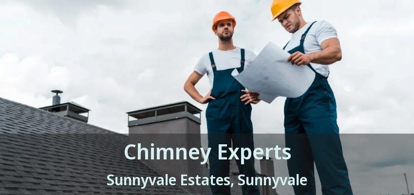 Chimney Experts Sunnyvale Estates, Sunnyvale - TX