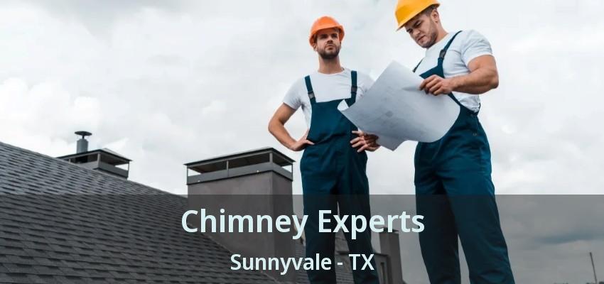 Chimney Experts Sunnyvale - TX