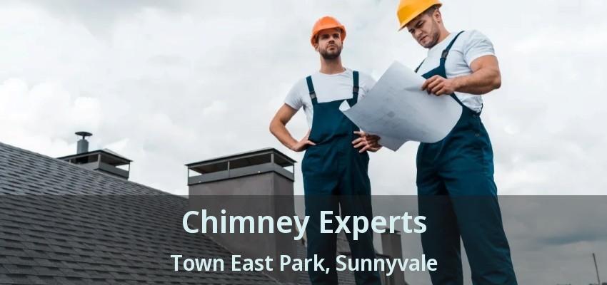 Chimney Experts Town East Park, Sunnyvale - TX