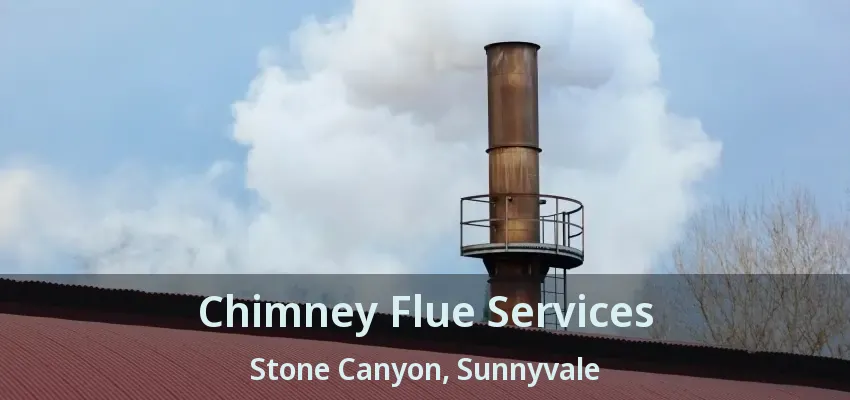 Chimney Flue Services Stone Canyon, Sunnyvale - TX