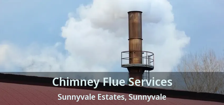 Chimney Flue Services Sunnyvale Estates, Sunnyvale - TX
