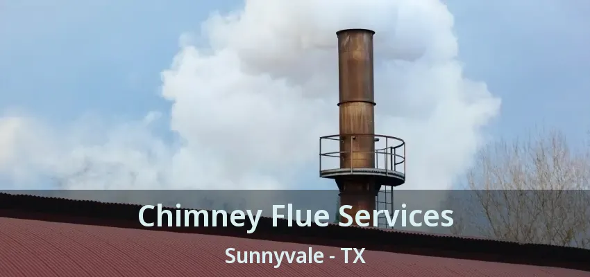 Chimney Flue Services Sunnyvale - TX
