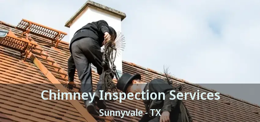 Chimney Inspection Services Sunnyvale - TX