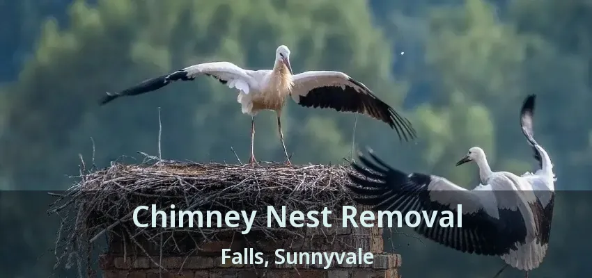 Chimney Nest Removal Falls, Sunnyvale - TX