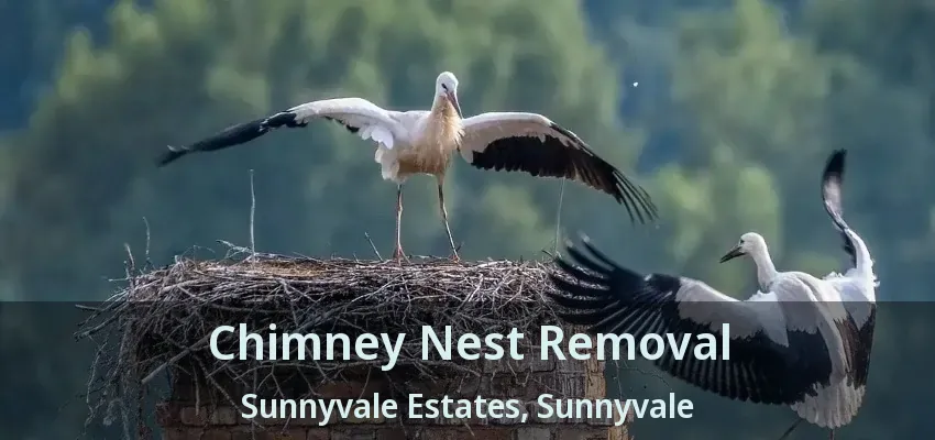 Chimney Nest Removal Sunnyvale Estates, Sunnyvale - TX