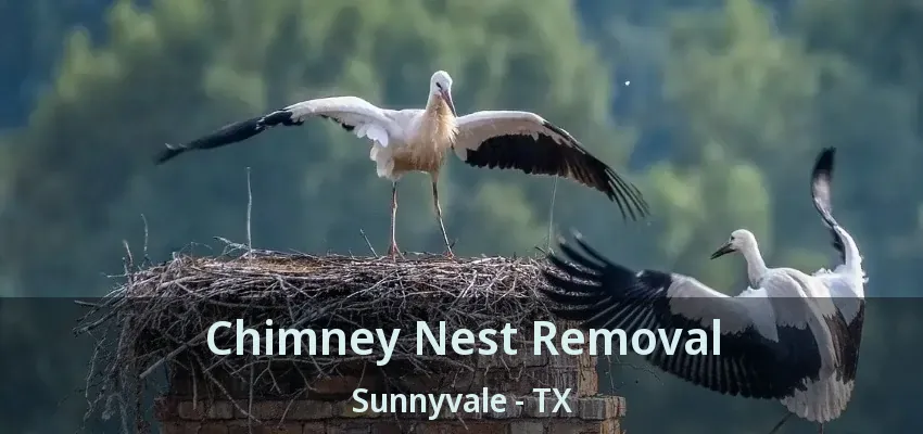 Chimney Nest Removal Sunnyvale - TX