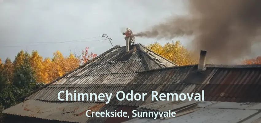 Chimney Odor Removal Creekside, Sunnyvale - TX