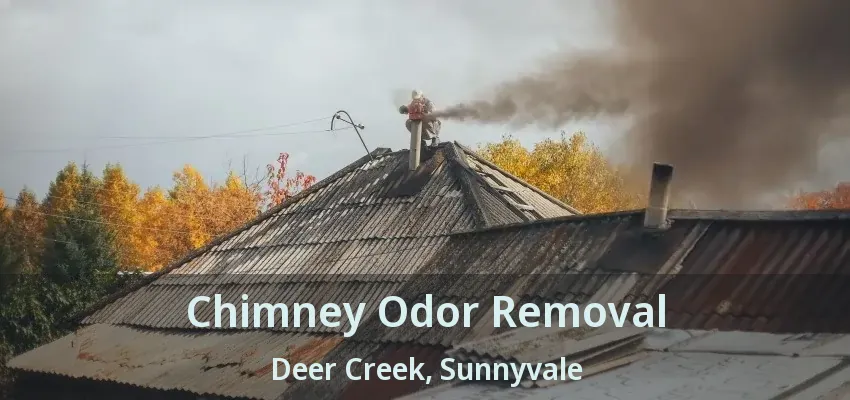 Chimney Odor Removal Deer Creek, Sunnyvale - TX