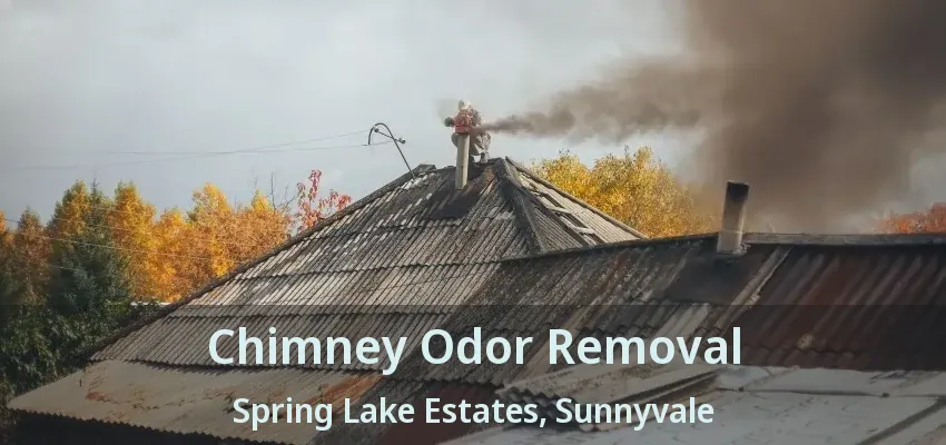 Chimney Odor Removal Spring Lake Estates, Sunnyvale - TX