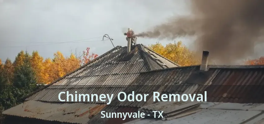 Chimney Odor Removal Sunnyvale - TX