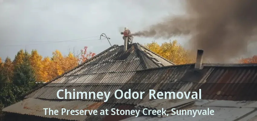 Chimney Odor Removal The Preserve at Stoney Creek, Sunnyvale - TX