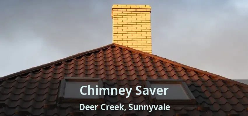Chimney Saver Deer Creek, Sunnyvale - TX