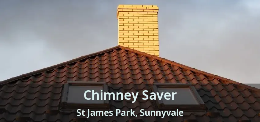 Chimney Saver St James Park, Sunnyvale - TX