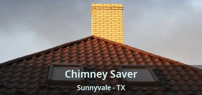 Chimney Saver Sunnyvale - TX