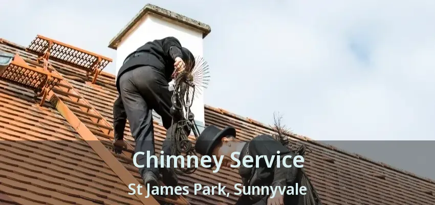 Chimney Service St James Park, Sunnyvale - TX