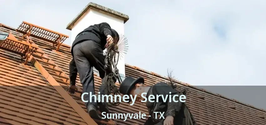 Chimney Service Sunnyvale - TX