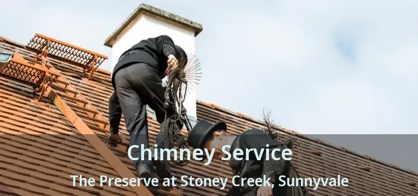 Chimney Service The Preserve at Stoney Creek, Sunnyvale - TX