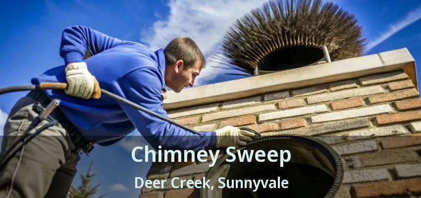 Chimney Sweep Deer Creek, Sunnyvale - TX