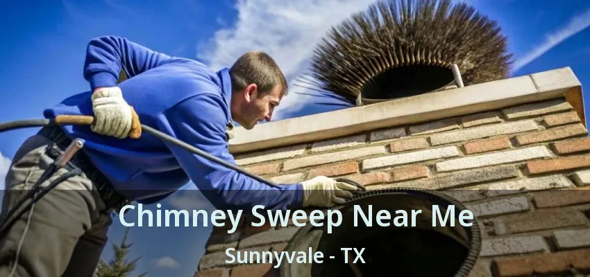 Chimney Sweep Near Me Sunnyvale - TX