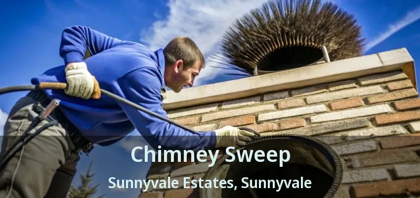 Chimney Sweep Sunnyvale Estates, Sunnyvale - TX