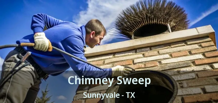 Chimney Sweep Sunnyvale - TX