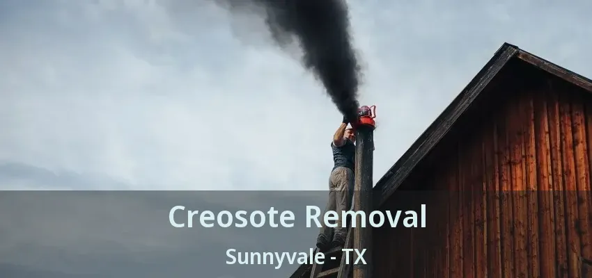 Creosote Removal Sunnyvale - TX