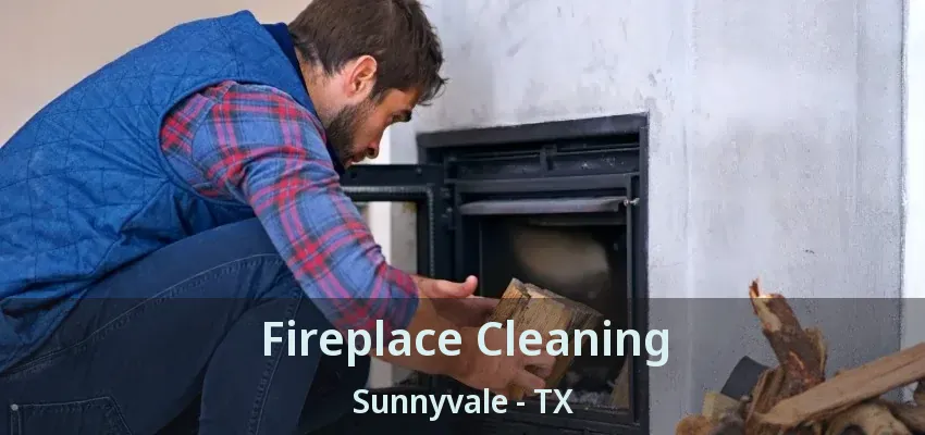 Fireplace Cleaning Sunnyvale - TX