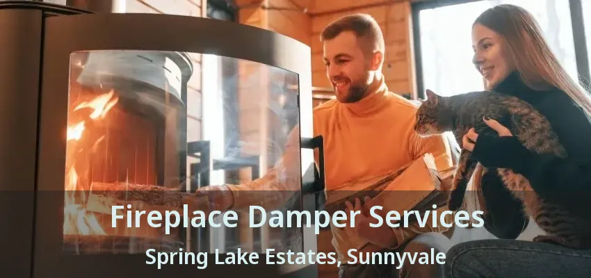 Fireplace Damper Services Spring Lake Estates, Sunnyvale - TX