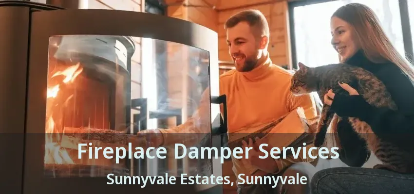 Fireplace Damper Services Sunnyvale Estates, Sunnyvale - TX