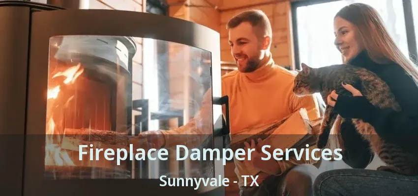 Fireplace Damper Services Sunnyvale - TX