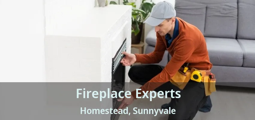 Fireplace Experts Homestead, Sunnyvale - TX