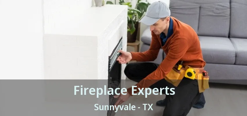 Fireplace Experts Sunnyvale - TX
