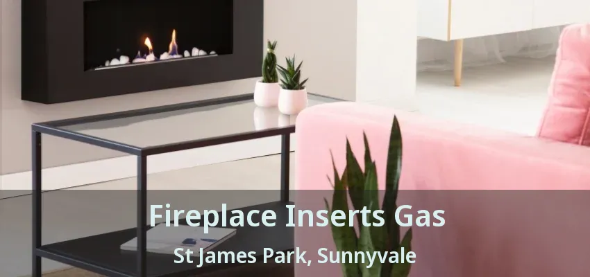 Fireplace Inserts Gas St James Park, Sunnyvale - TX