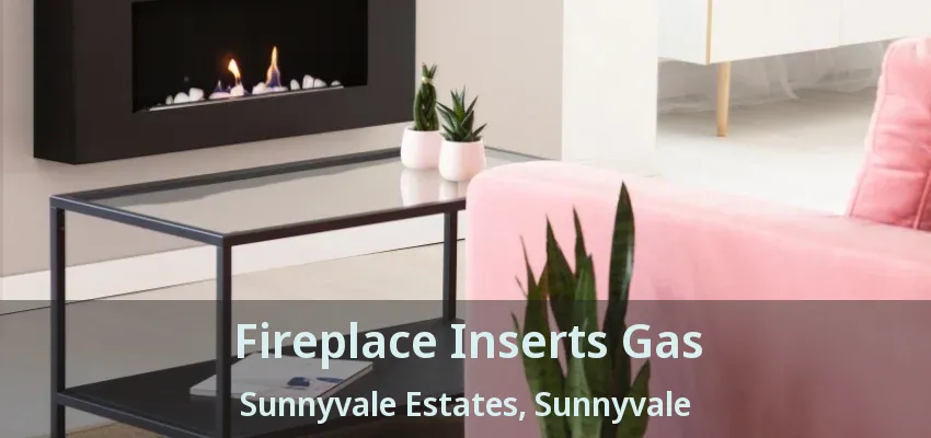 Fireplace Inserts Gas Sunnyvale Estates, Sunnyvale - TX