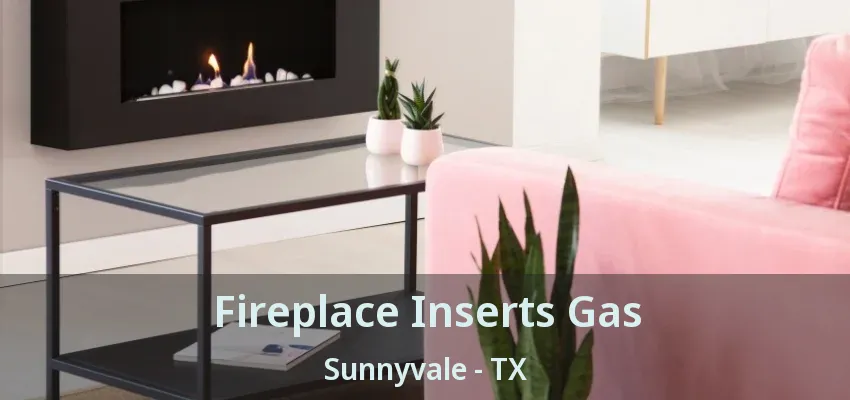Fireplace Inserts Gas Sunnyvale - TX
