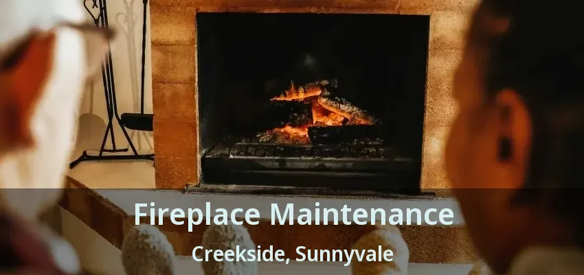 Fireplace Maintenance Creekside, Sunnyvale - TX